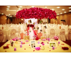 WEDDING PARTY DECORATION