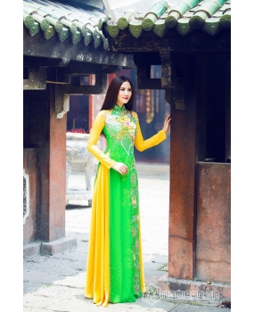 Ao Dai Collection 23